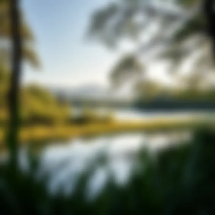 Serene nature scene symbolizing calmness and relaxation to represent stress relief